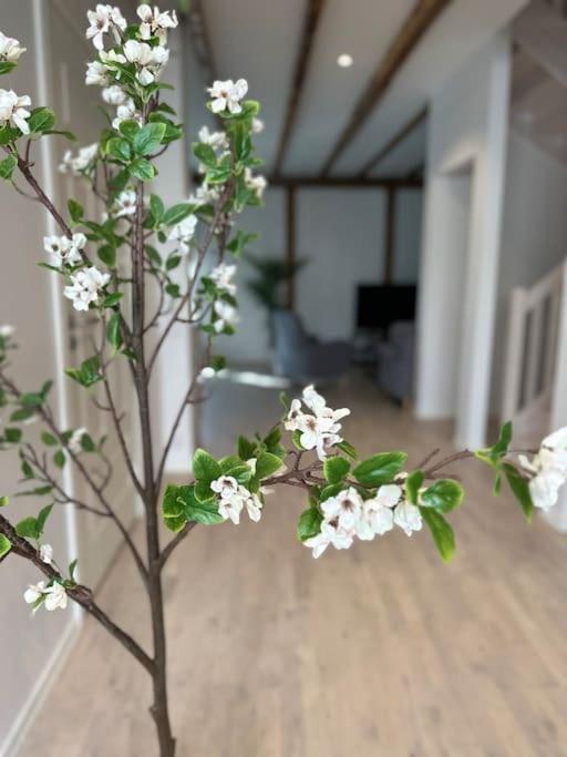 Innerstan Nya Laegenheter Soedramurgatan 45B Visby Ngoại thất bức ảnh